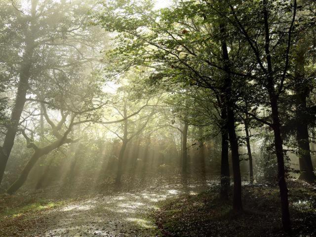 Studio Avec Superbe Vue 5Min A Pied Des Thermes Bagnoles de l'Orne Normandie Екстер'єр фото